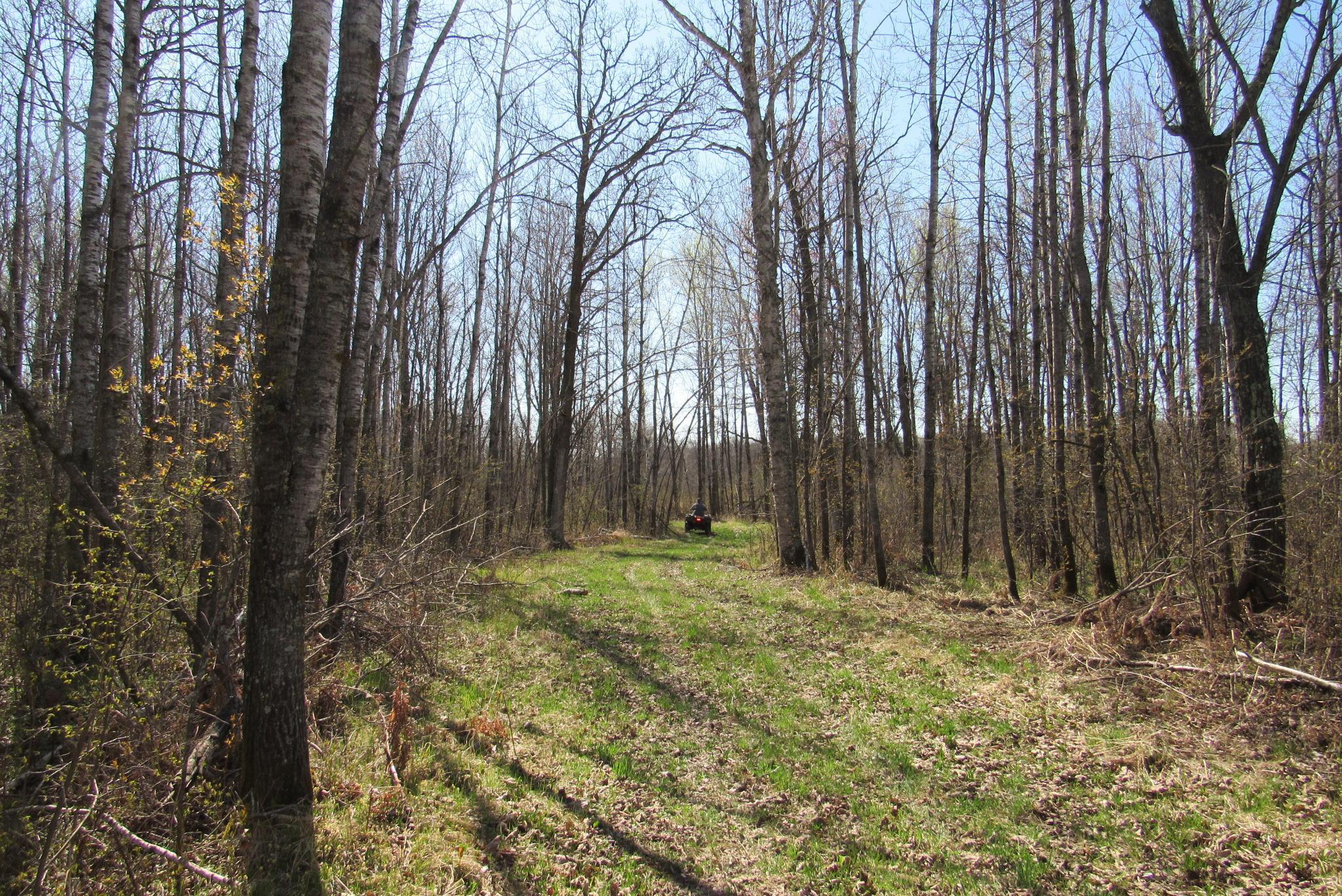 12500 County Road 41, Willow River, Minnesota image 37