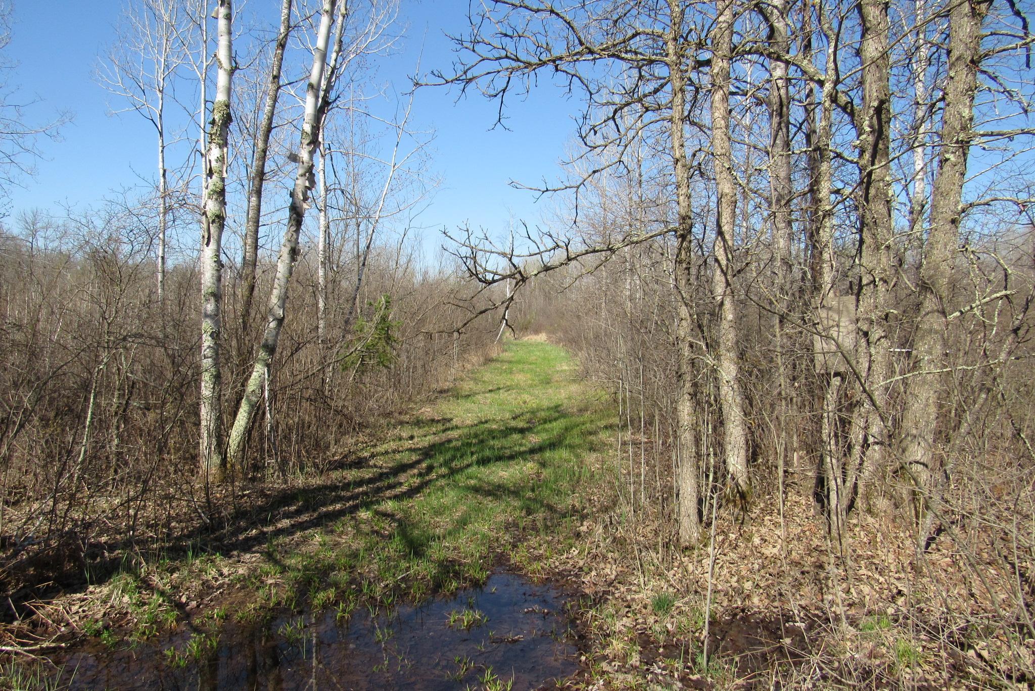 12500 County Road 41, Willow River, Minnesota image 23
