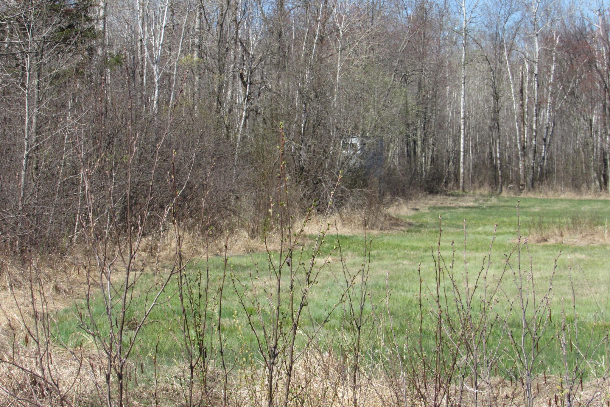 12500 County Road 41, Willow River, Minnesota image 31