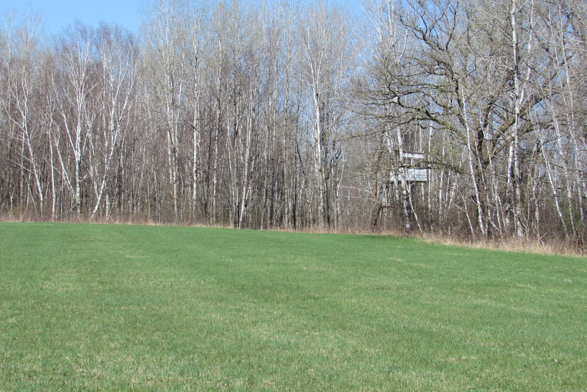 12500 County Road 41, Willow River, Minnesota image 21