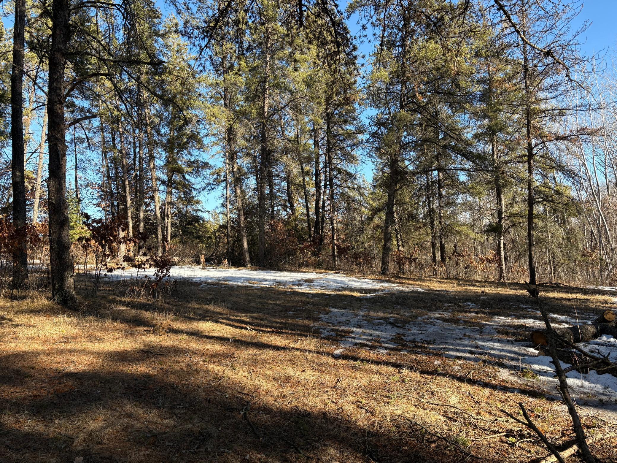 TBD Arbor Rd, Park Rapids, Minnesota image 17