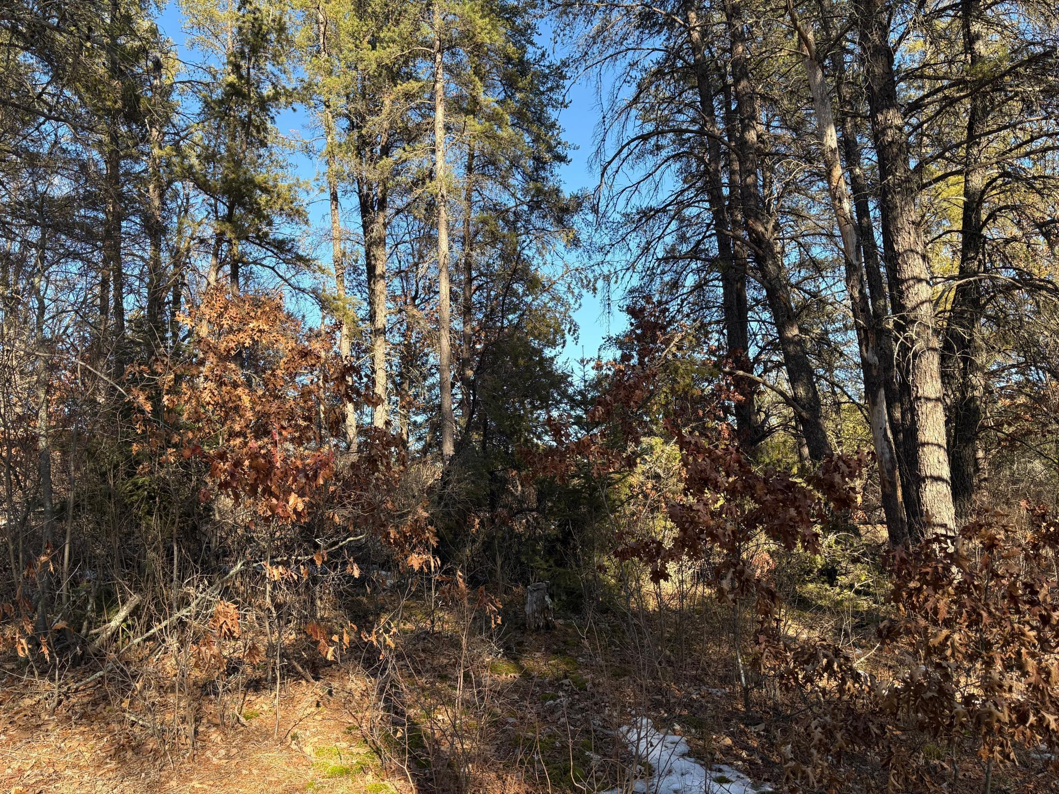 TBD Arbor Rd, Park Rapids, Minnesota image 18