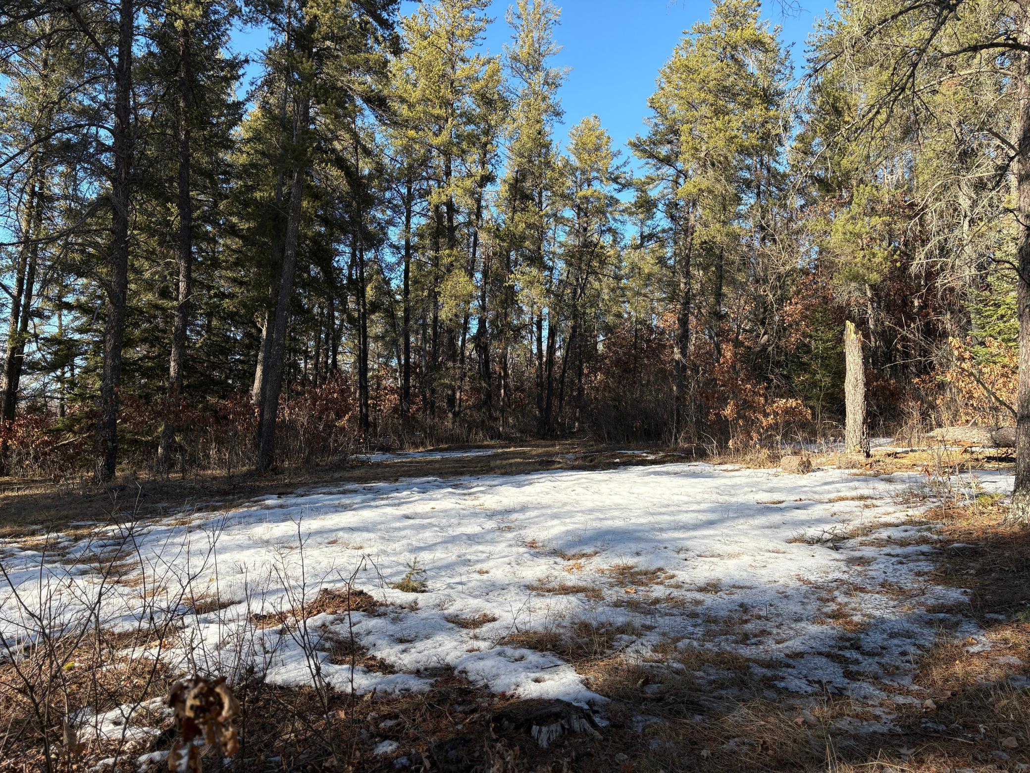 TBD Arbor Rd, Park Rapids, Minnesota image 19