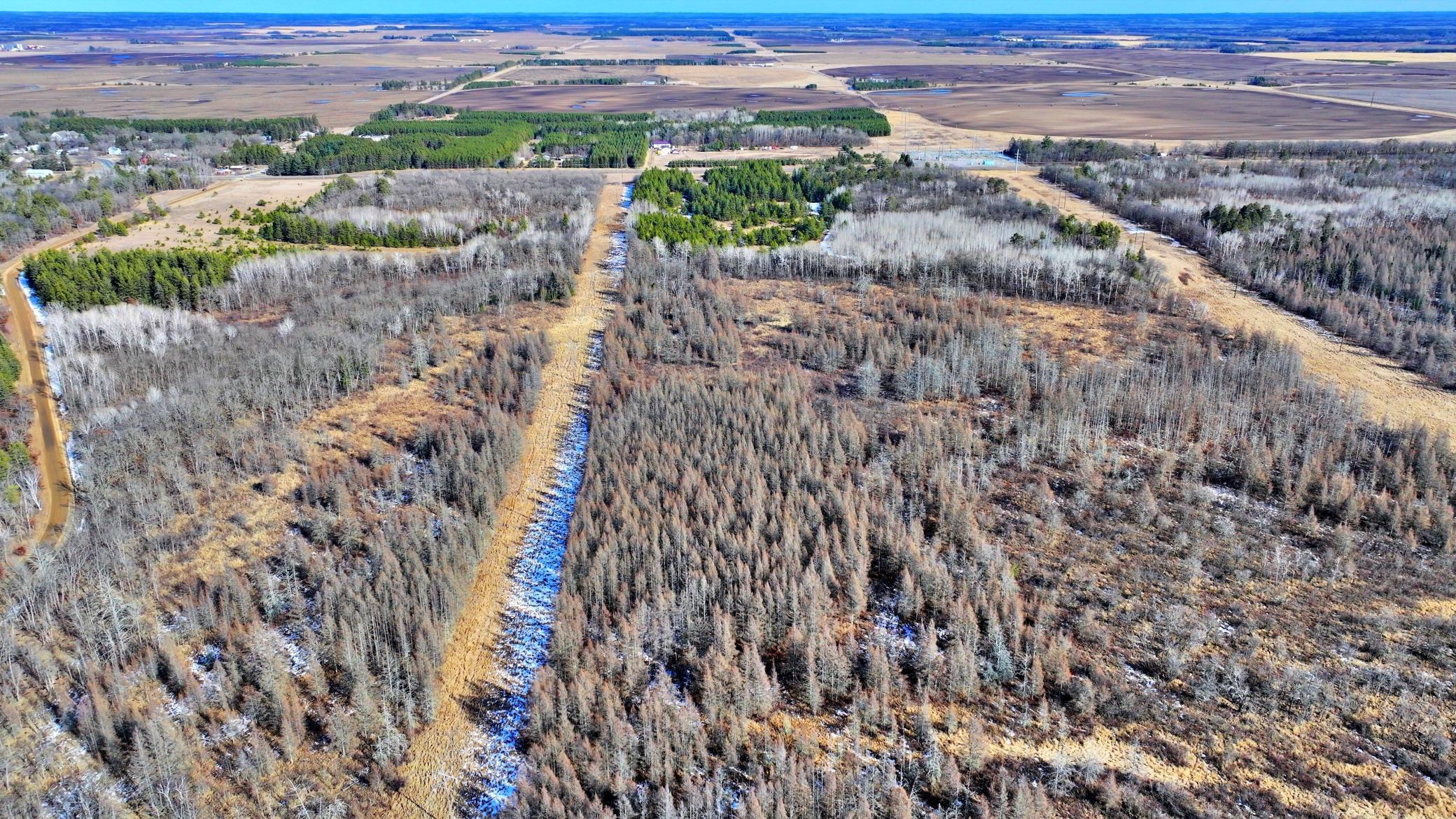 TBD Arbor Rd, Park Rapids, Minnesota image 5