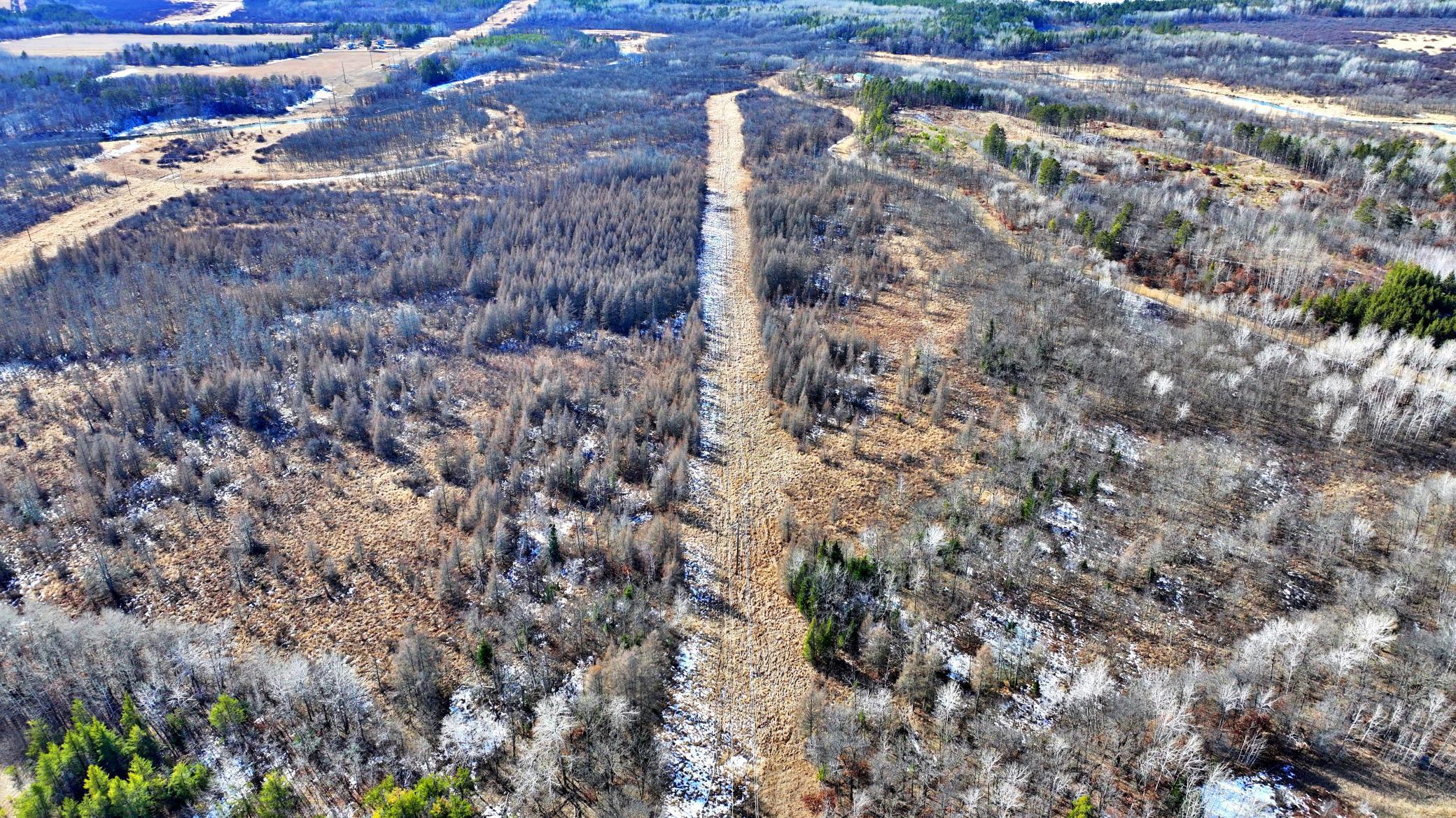 TBD Arbor Rd, Park Rapids, Minnesota image 9