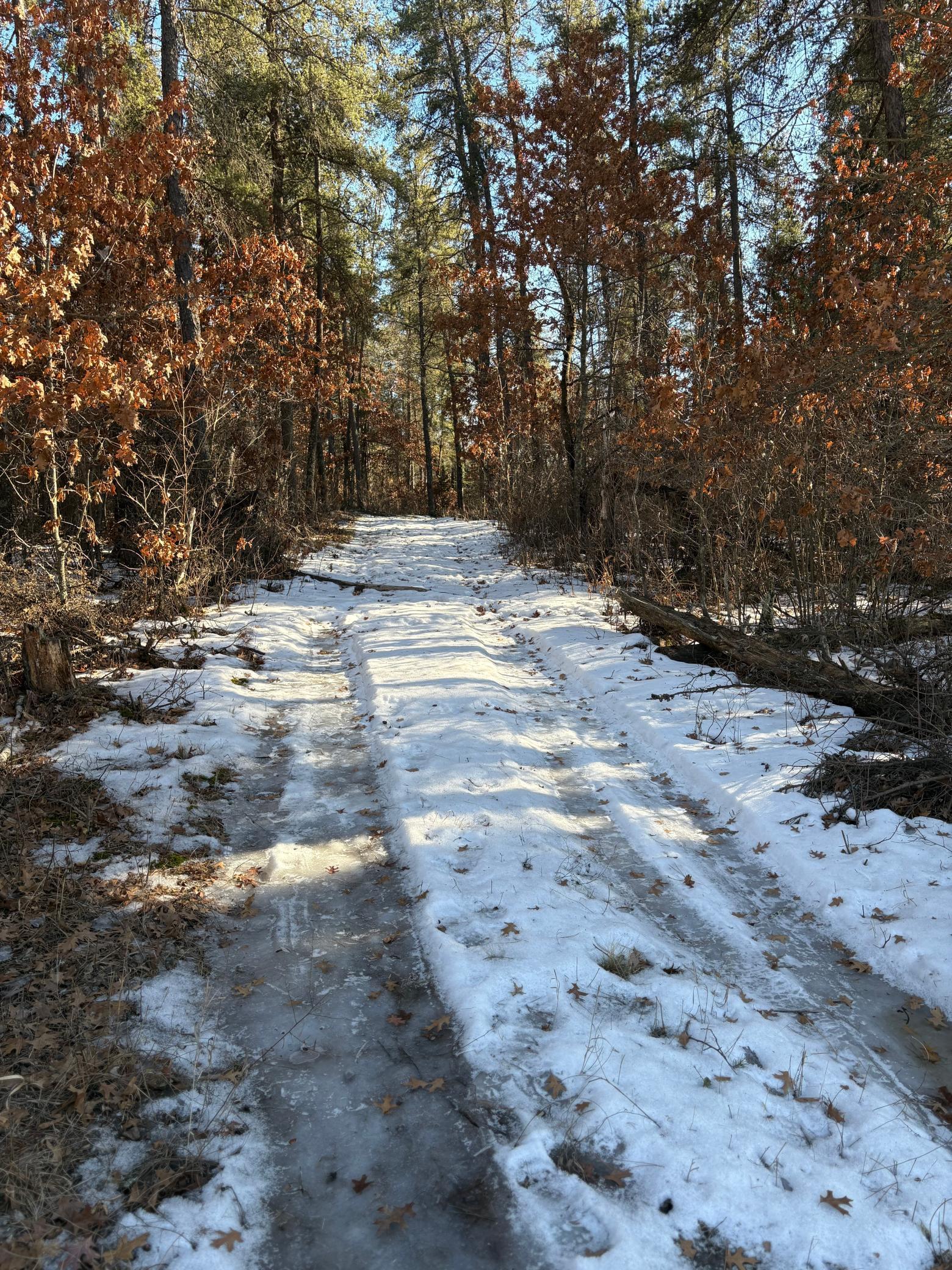 TBD Arbor Rd, Park Rapids, Minnesota image 14