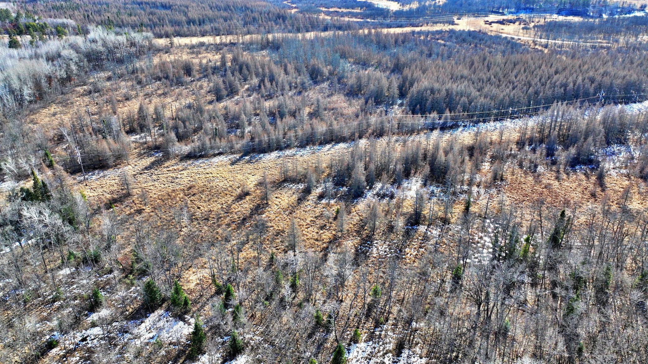 TBD Arbor Rd, Park Rapids, Minnesota image 13