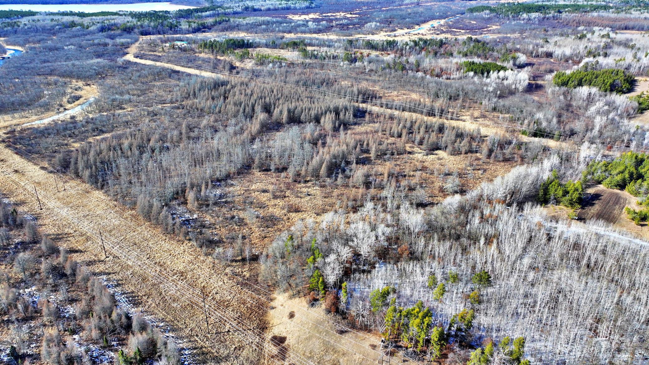 TBD Arbor Rd, Park Rapids, Minnesota image 8
