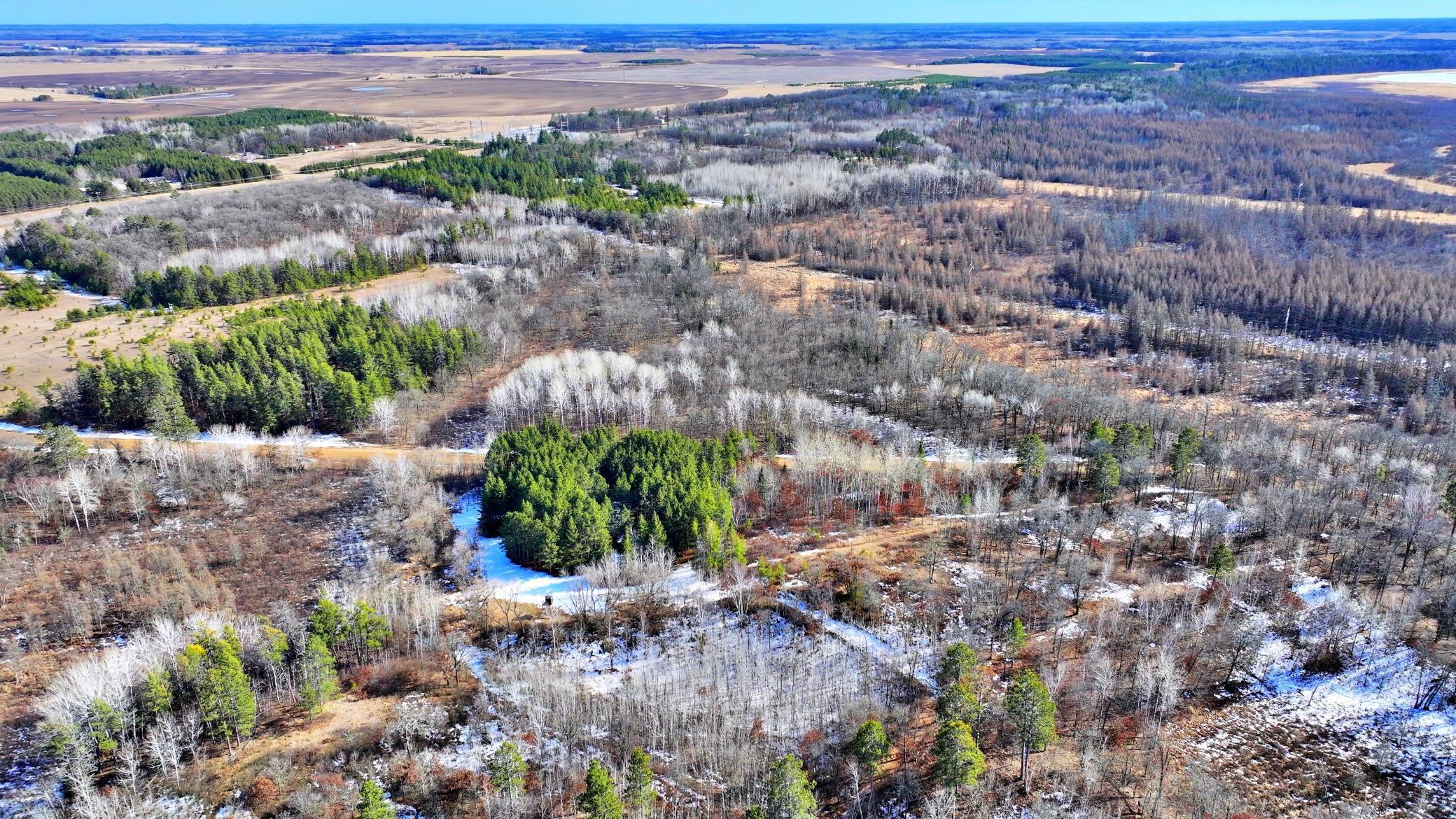 TBD Arbor Rd, Park Rapids, Minnesota image 4