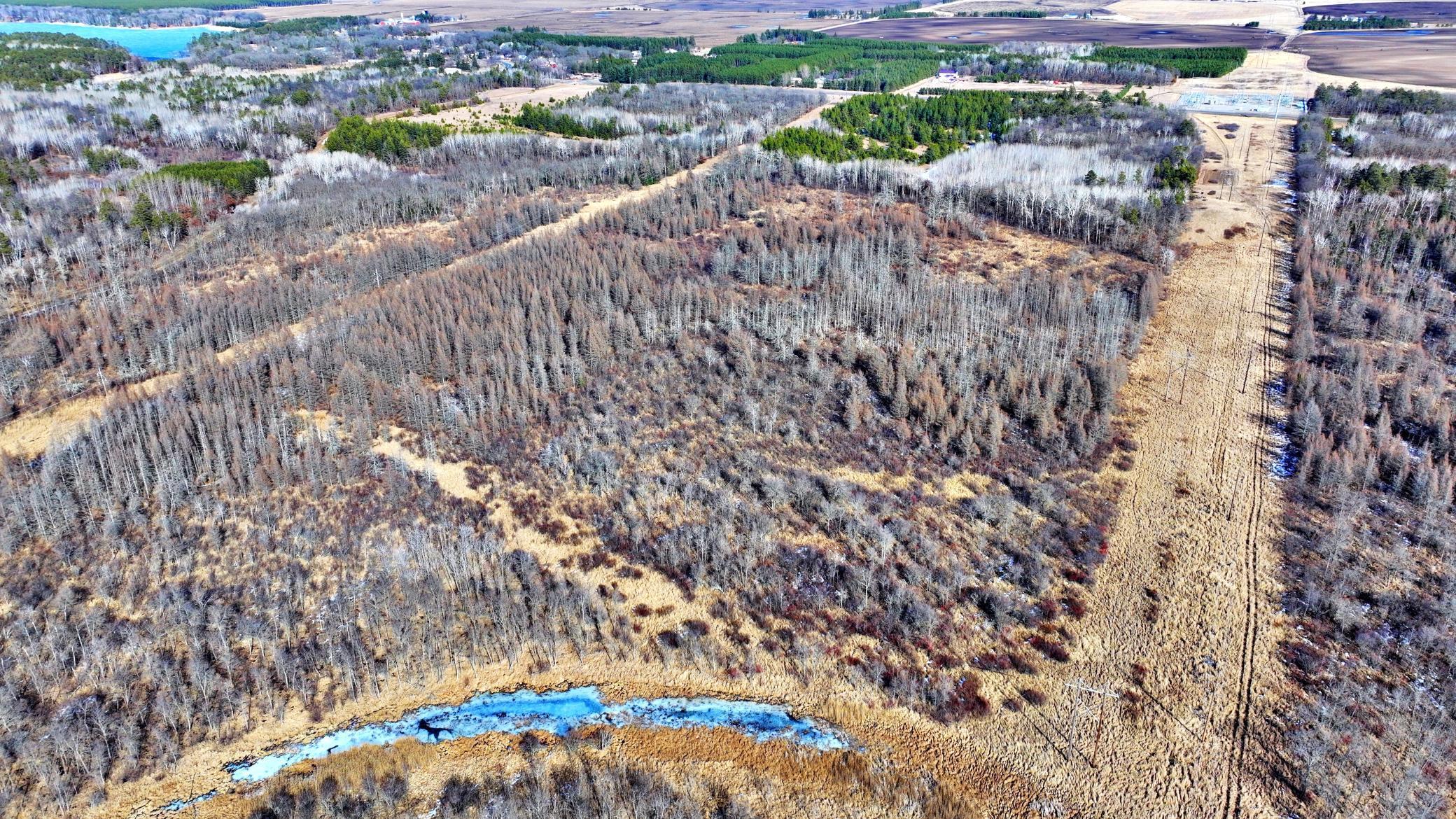 TBD Arbor Rd, Park Rapids, Minnesota image 6