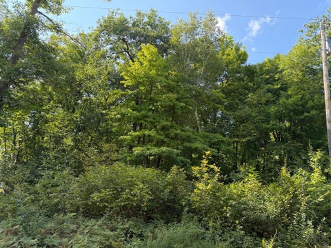 Vacant Land For Sale - 25XXX Eagle Ridge Road<br/> Crow Wing County, Aitkin, MN 56431
