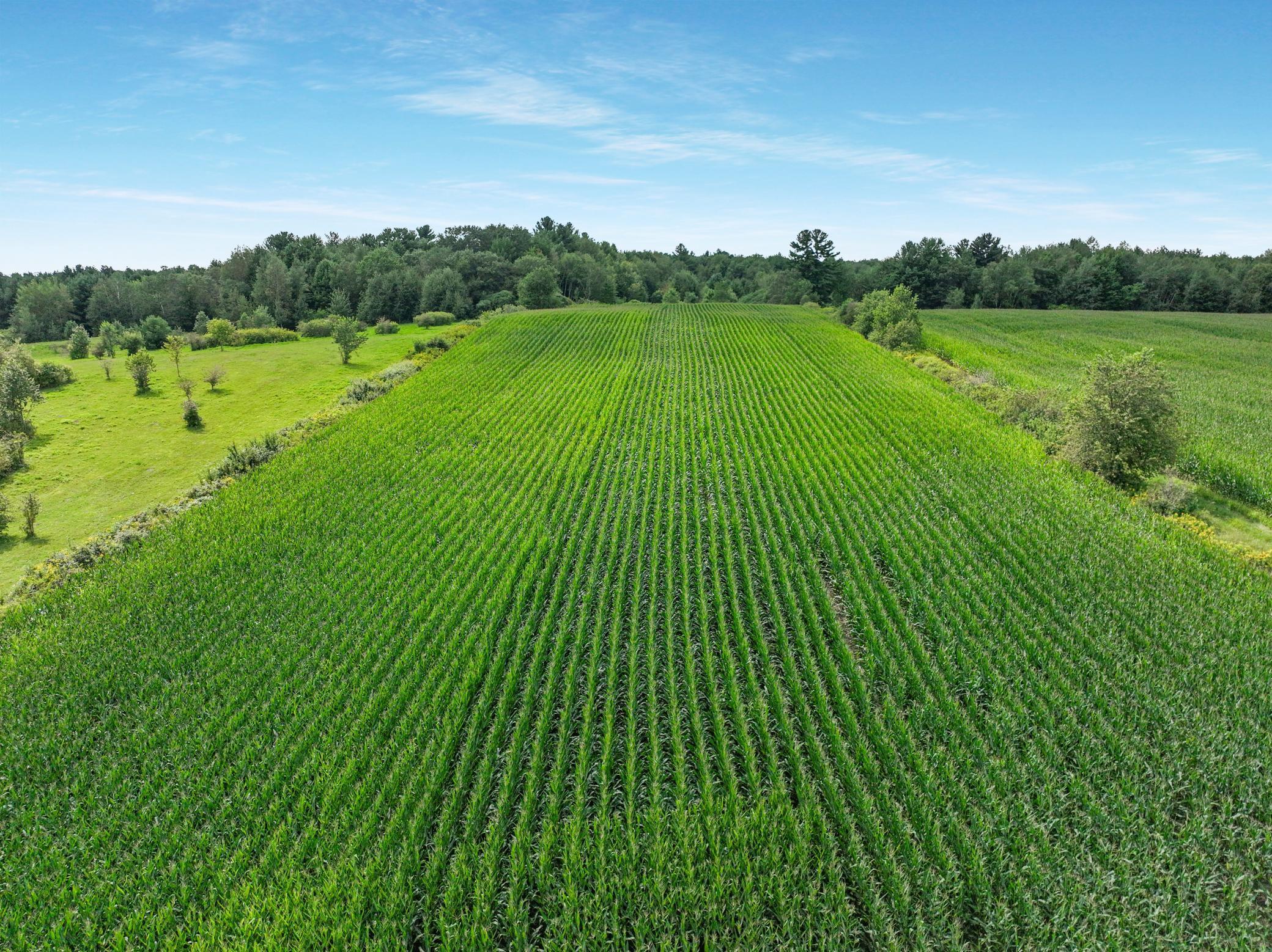 25 Acres 22nd Street, Chetek, Wisconsin image 26