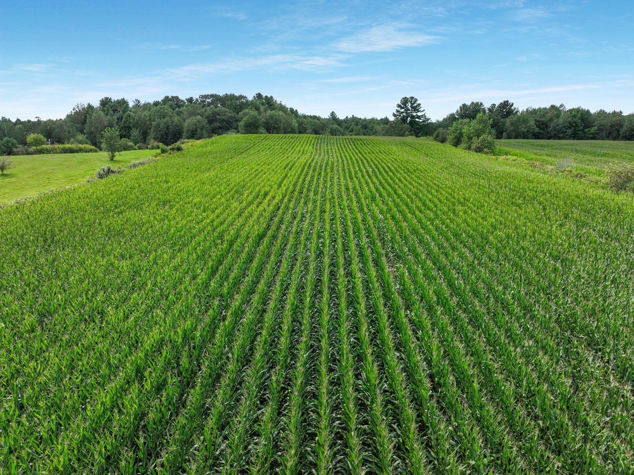 25 Acres 22nd Street, Chetek, Wisconsin image 27