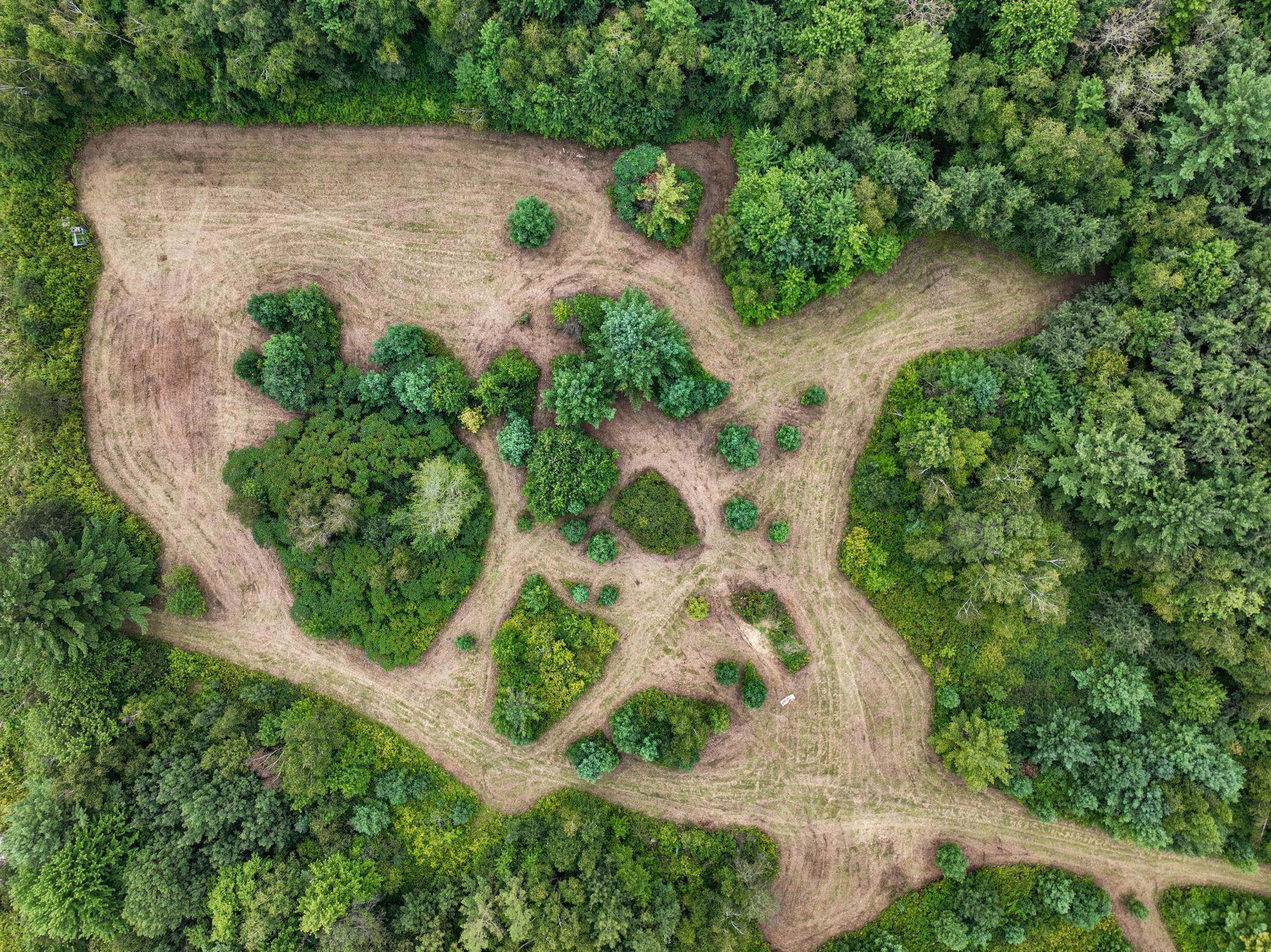 25 Acres 22nd Street, Chetek, Wisconsin image 8