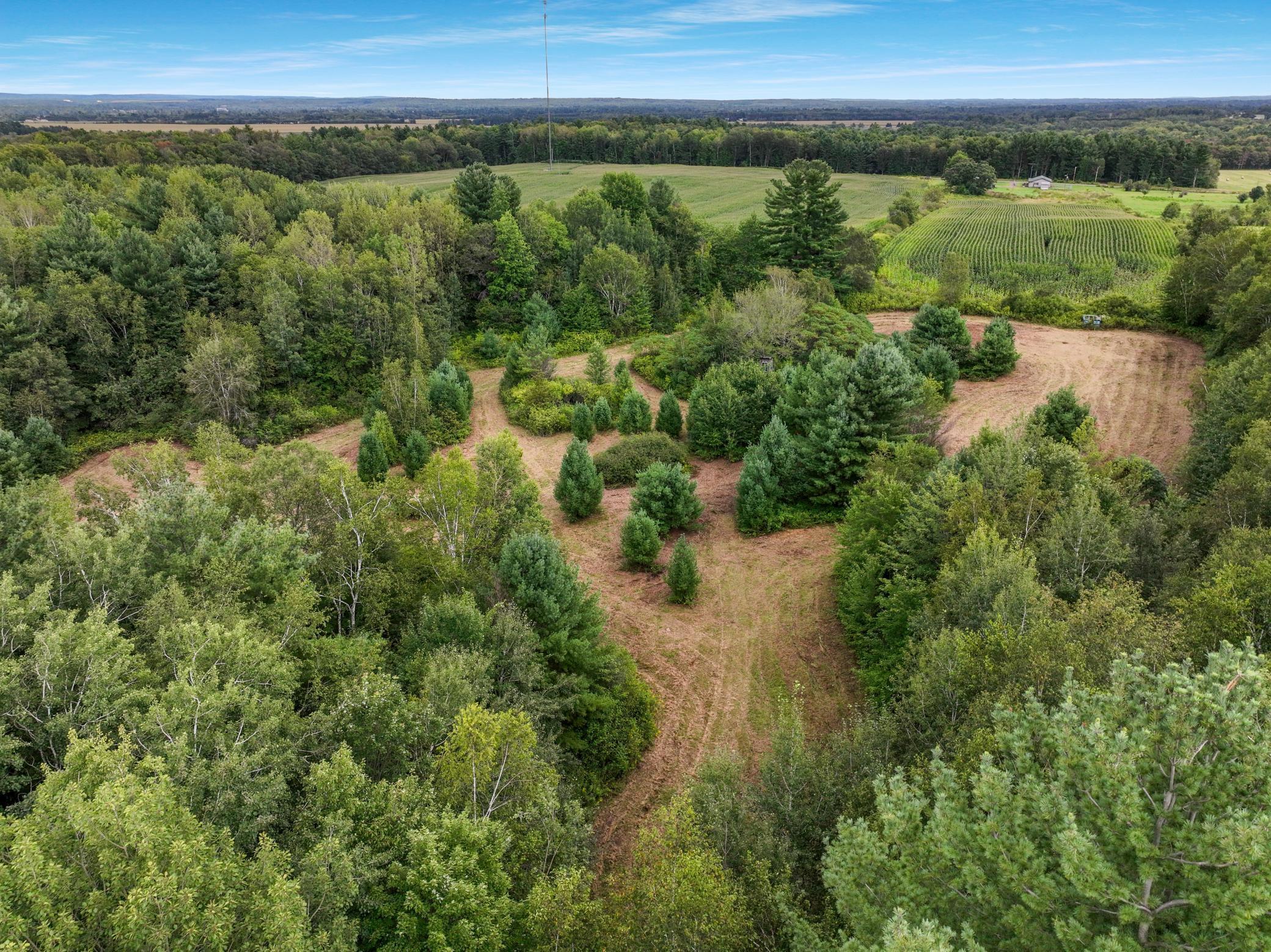 25 Acres 22nd Street, Chetek, Wisconsin image 14