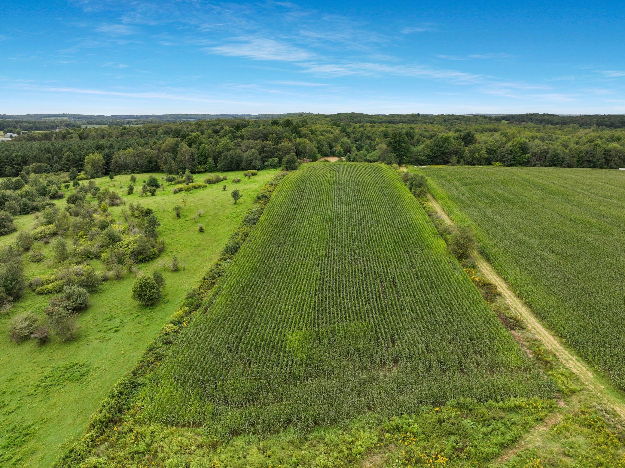 25 Acres 22nd Street, Chetek, Wisconsin image 6