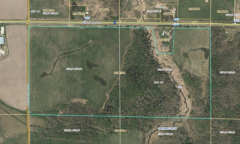 Vacant Land For Sale - TBD Lumberjack Road<br/> Puposky, MN 56667
