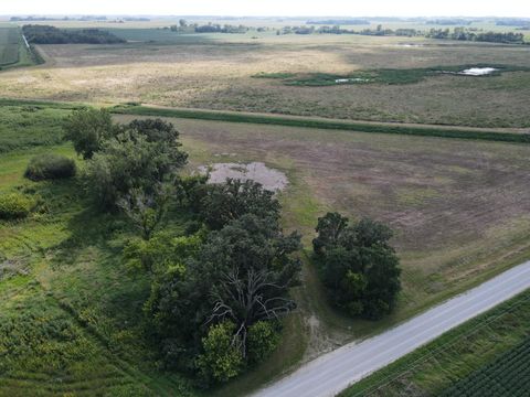 Vacant Land For Sale - 11TBD 630th Street<br/> Dodge County, Claremont, MN 55924