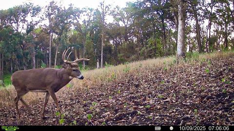 Vacant Land For Sale - W27022 Whistle Pass Road<br/> Dodge, WI 54661