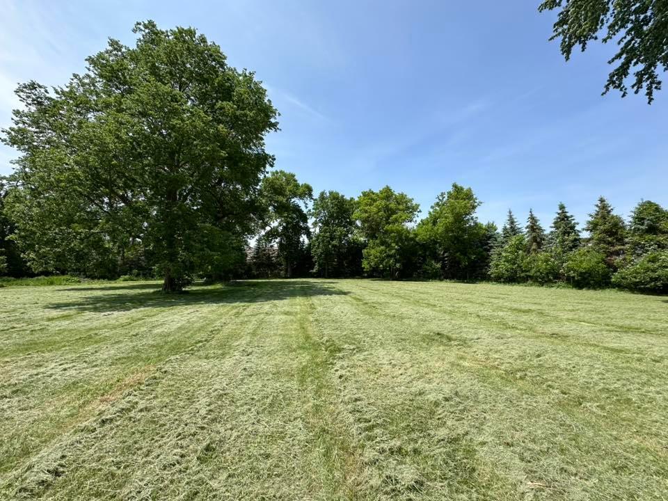 29281 Biehn Drive, Madison Lake, Minnesota image 2