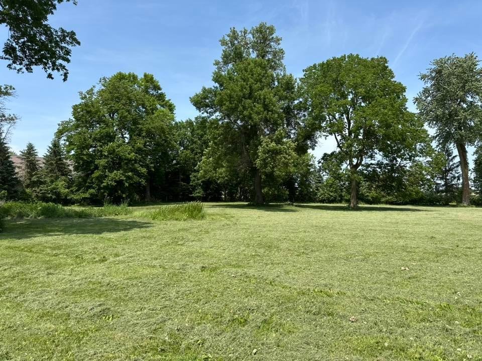 29281 Biehn Drive, Madison Lake, Minnesota image 4