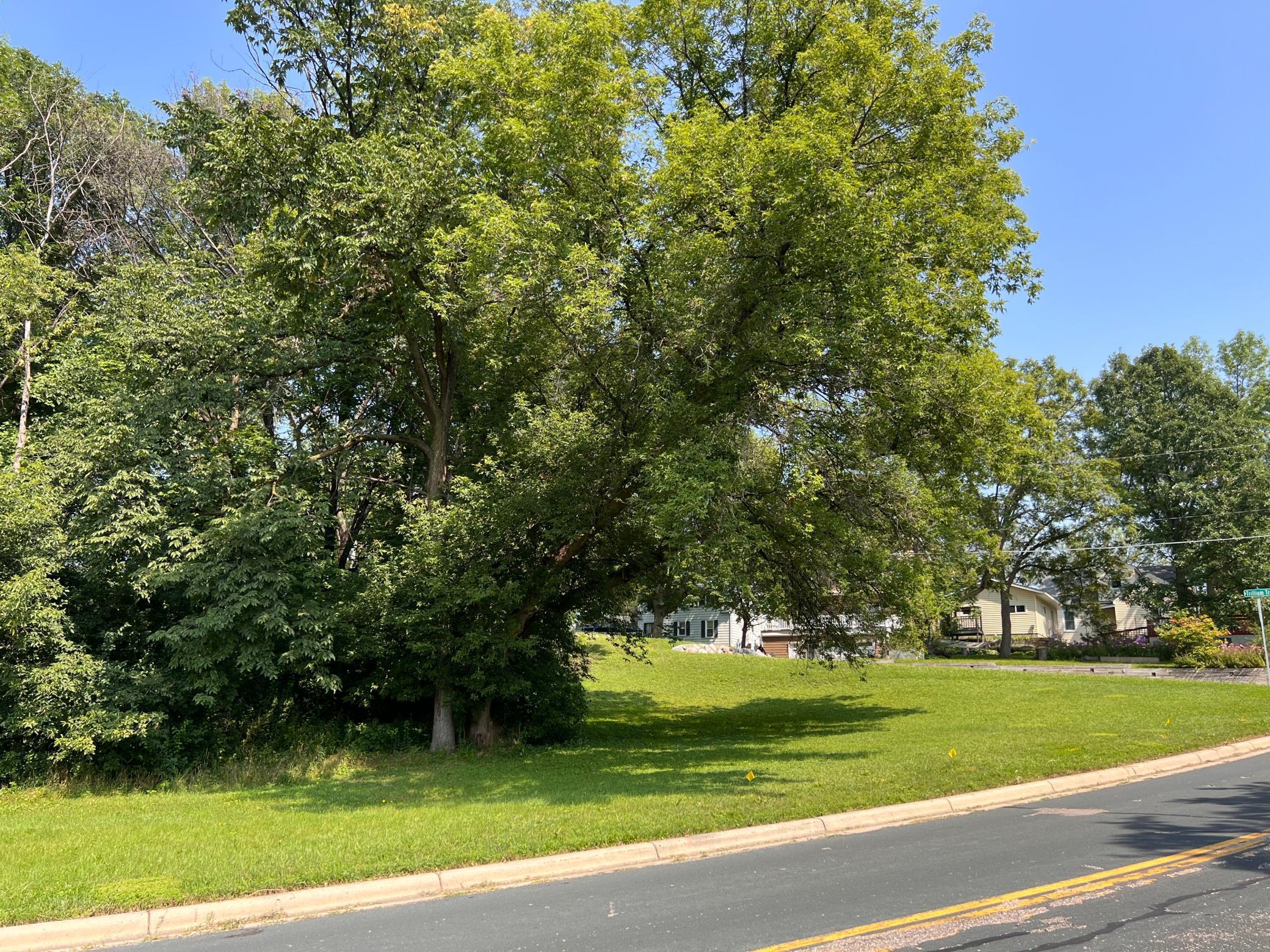 8090 Trillium Trail, Victoria, Minnesota image 4