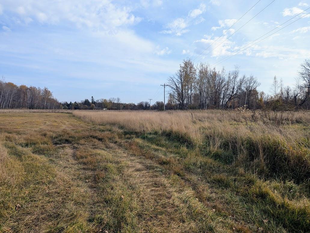 TBD 480th Street, Palisade, Minnesota image 4