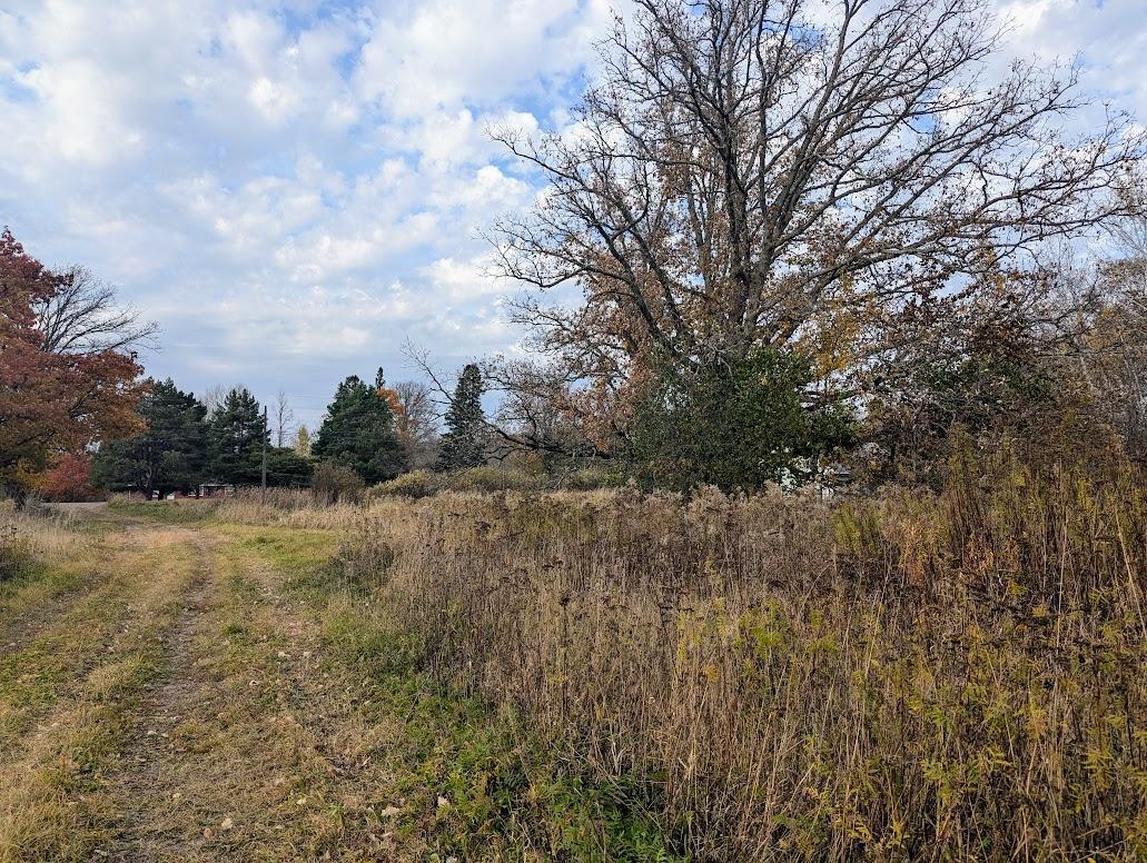 TBD 480th Street, Palisade, Minnesota image 5