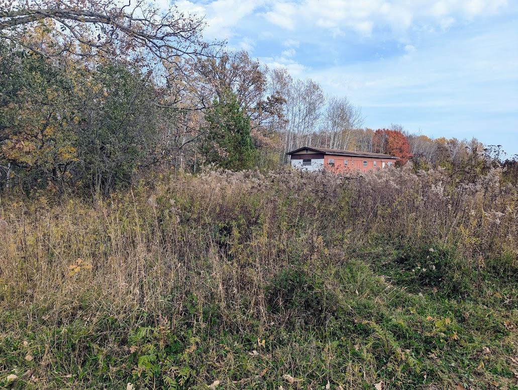 TBD 480th Street, Palisade, Minnesota image 6