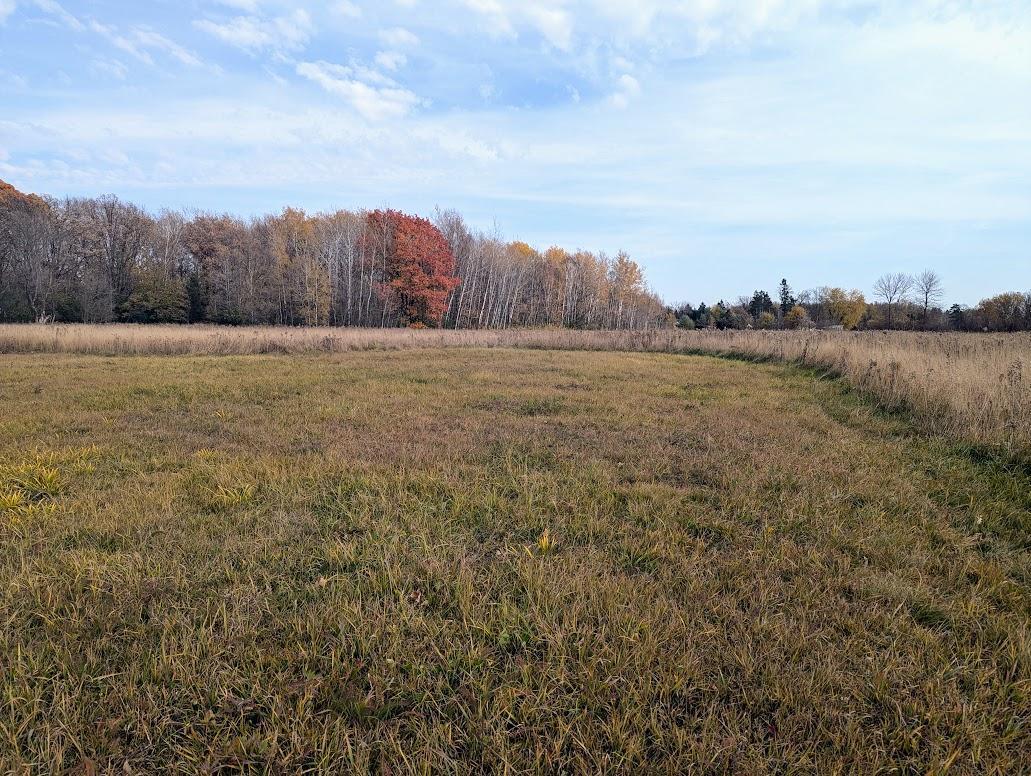 TBD 480th Street, Palisade, Minnesota image 2