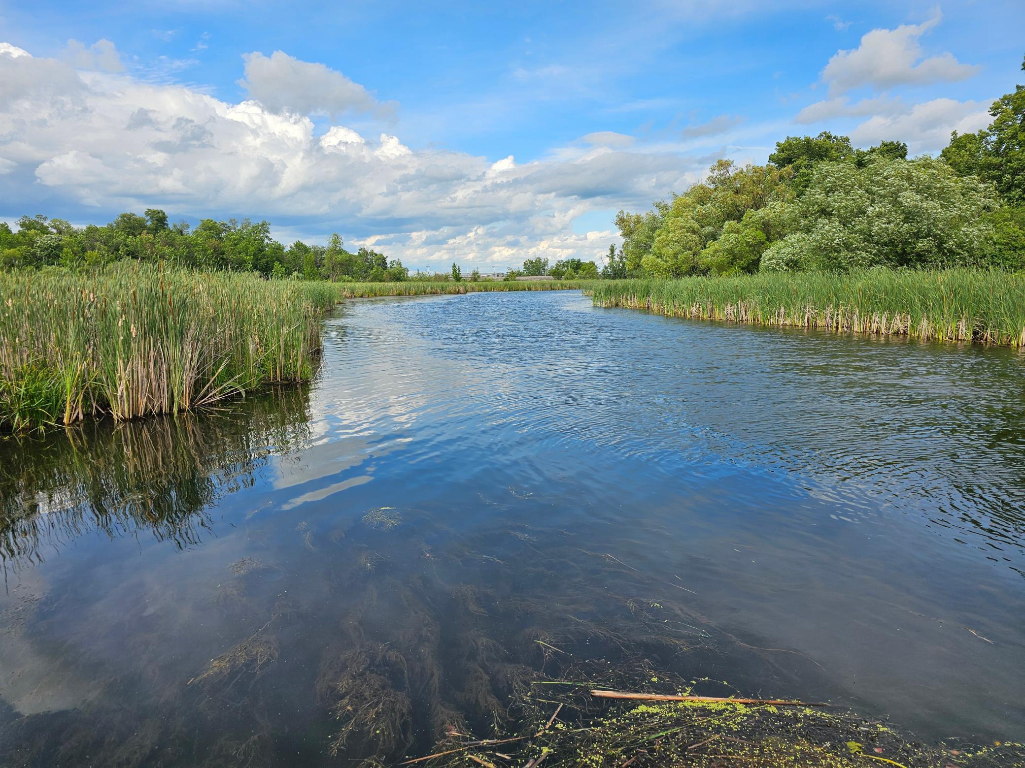 21 Branch Creek Road, Detroit Lakes, Minnesota image 11