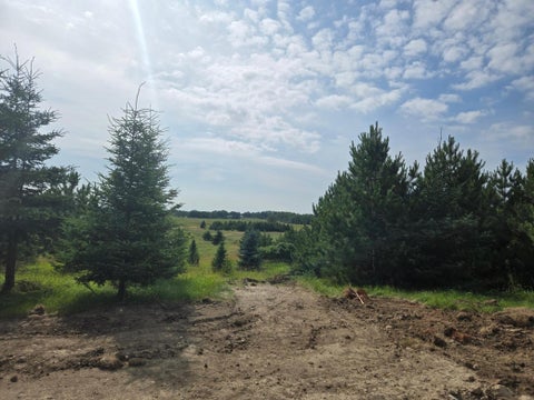 Vacant Land For Sale - 20332 County Highway 25<br/> Becker County, Detroit Lakes, MN 56501