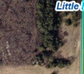 Vacant Land For Sale - 141XX 160th Avenue<br/> Morrison County, Little Falls, MN 56345