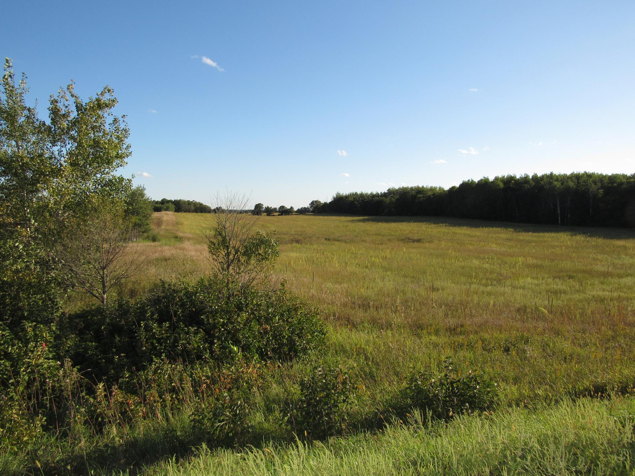 TBD 12th Parcel 8 Street, Backus, Minnesota image 1