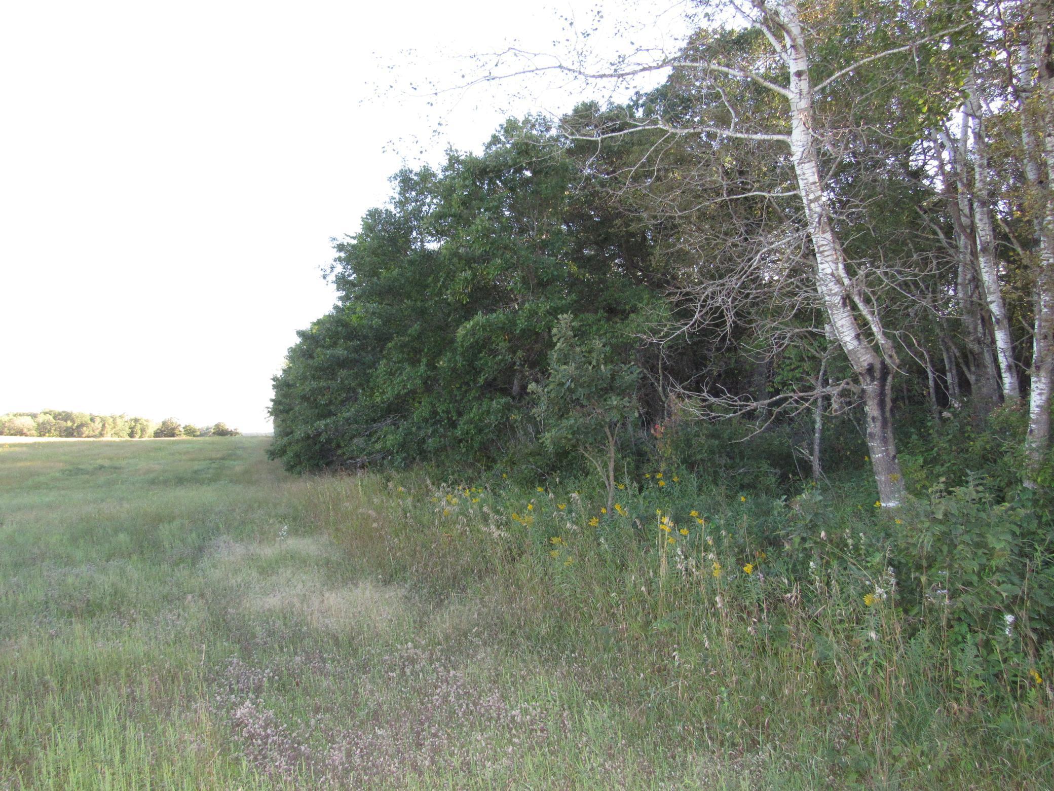 TBD 12th Parcel 8 Street, Backus, Minnesota image 3