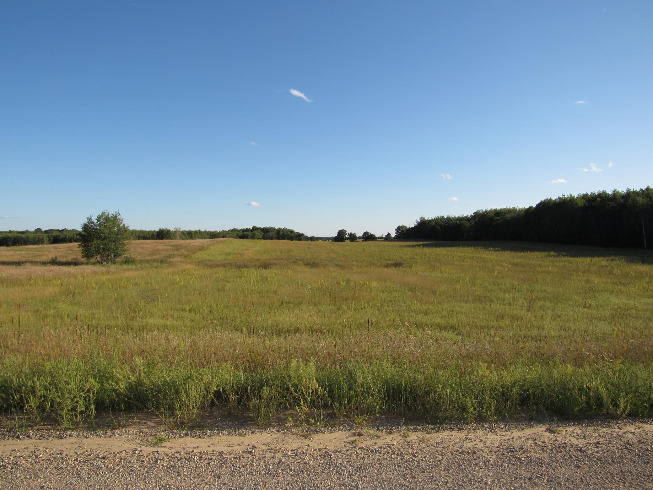 TBD 12th Parcel 8 Street, Backus, Minnesota image 2