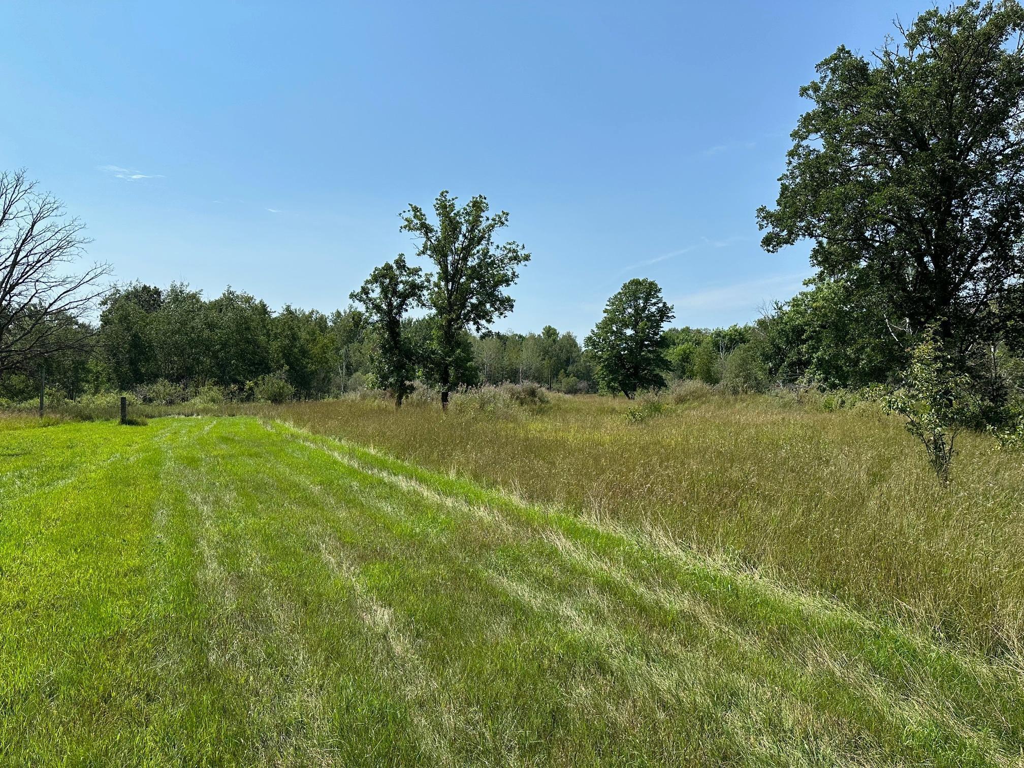 8419 44th Street, Sebeka, Minnesota image 44