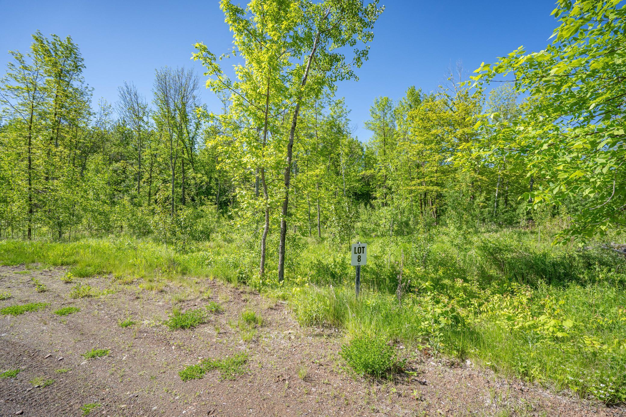 XXXX Rycor Lane, Duluth, Minnesota image 9
