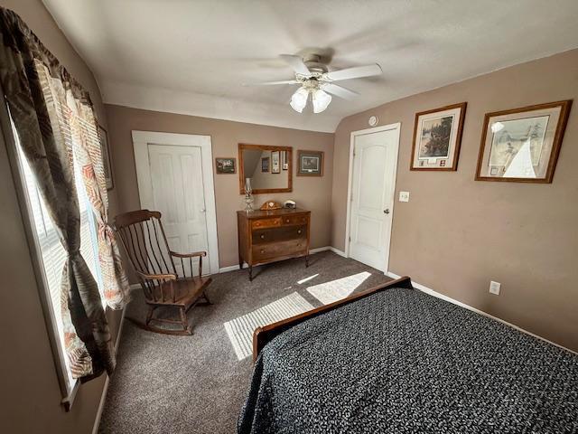 311 Summit Avenue, Detroit Lakes, Minnesota image 14