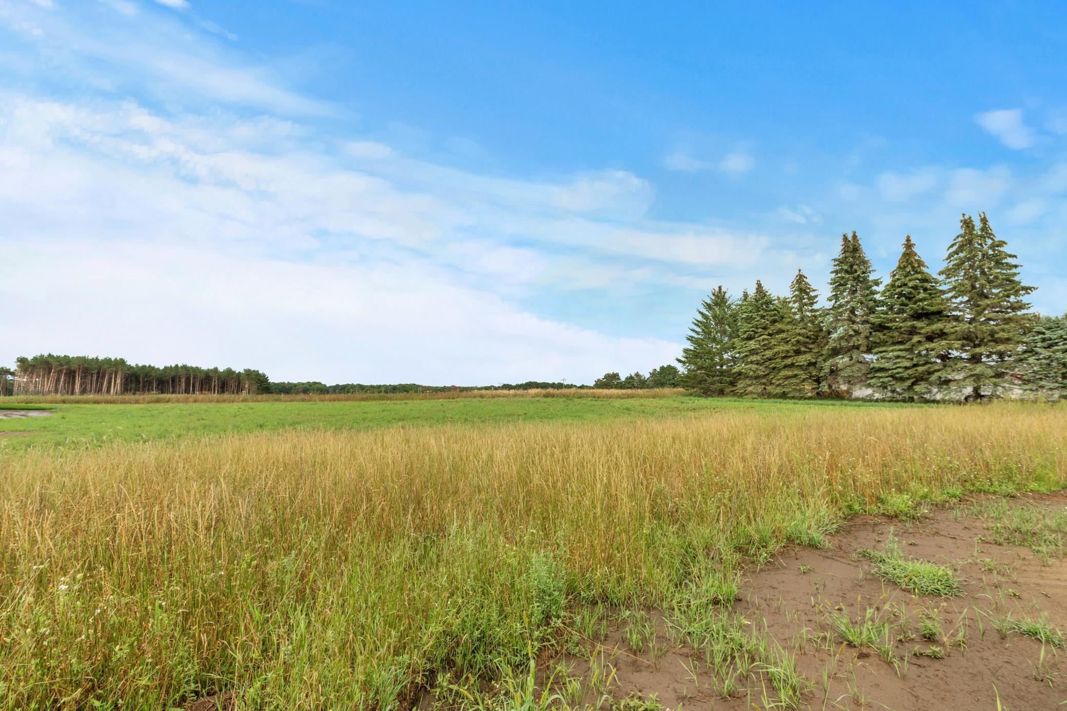 17855 Urbank Street, Ham Lake, Minnesota image 39