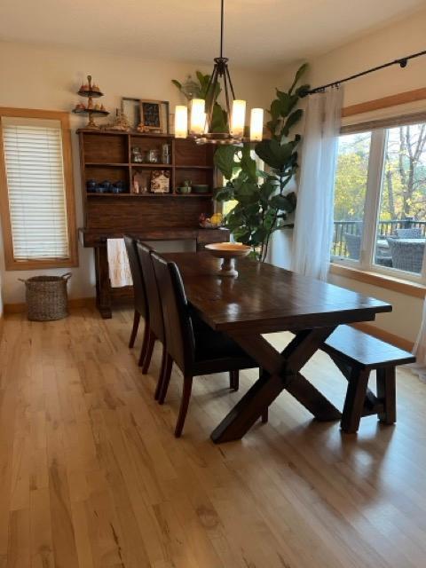 2907 Cougar Path, Prior Lake, Minnesota image 12