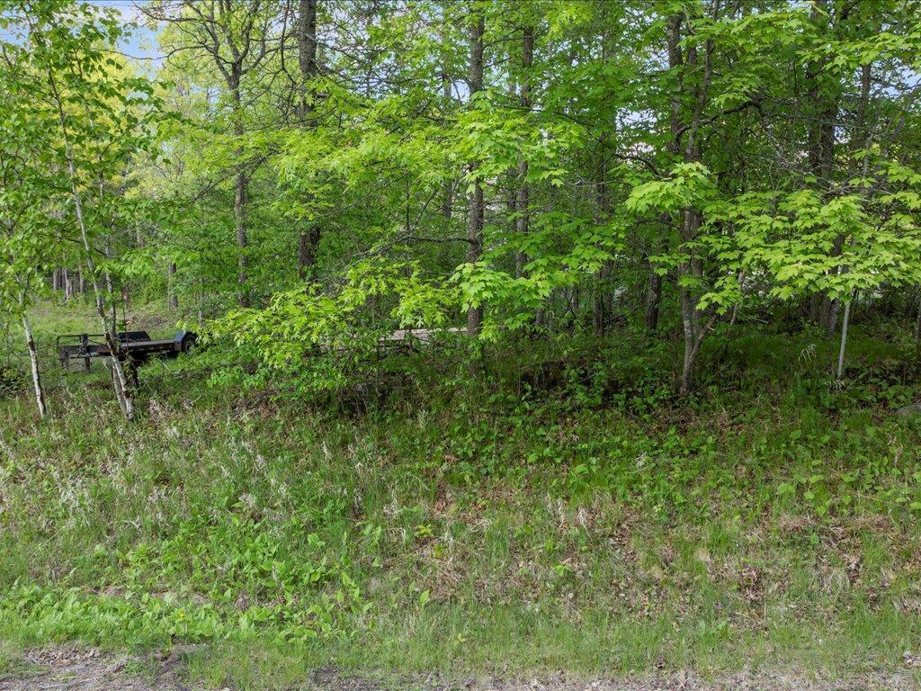 TBD Eagle Lane, Pequot Lakes, Minnesota image 3