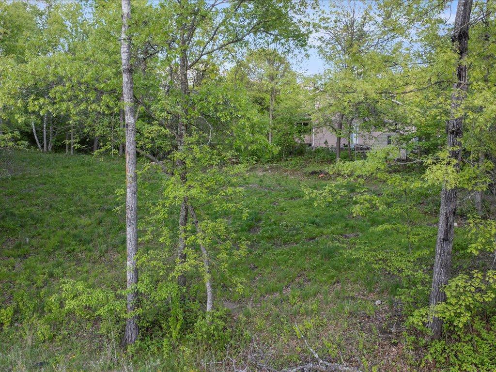 TBD Eagle Lane, Pequot Lakes, Minnesota image 18