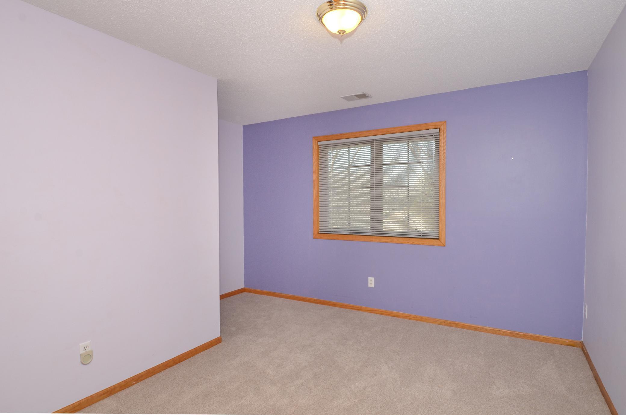 10013 Hidden Oaks Lane, Champlin, Minnesota image 21