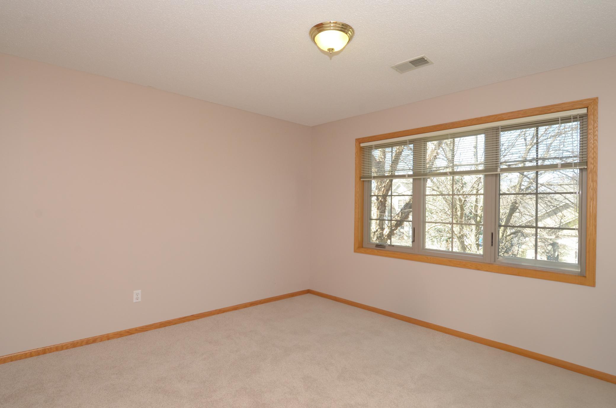 10013 Hidden Oaks Lane, Champlin, Minnesota image 19