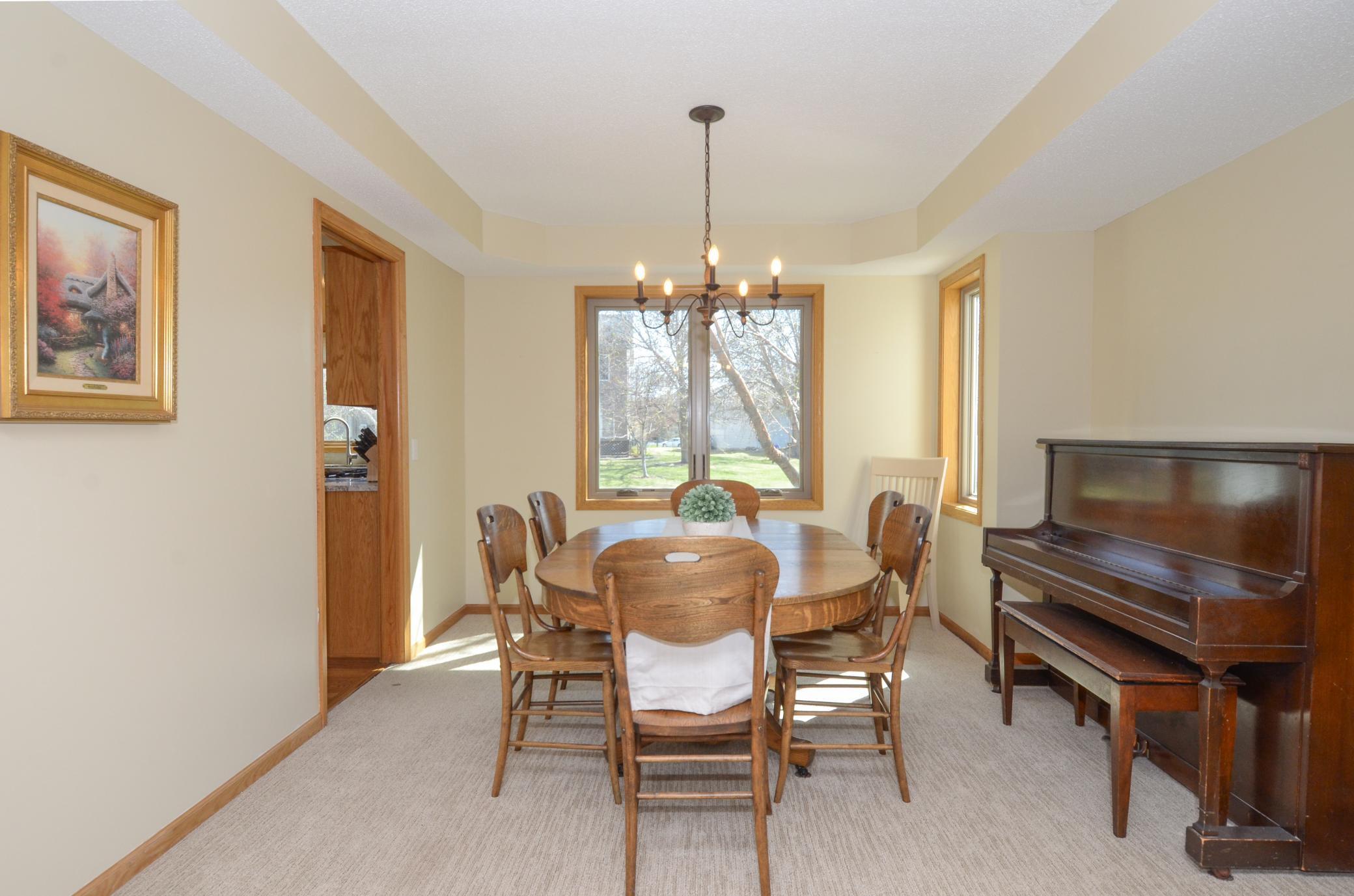 10013 Hidden Oaks Lane, Champlin, Minnesota image 8