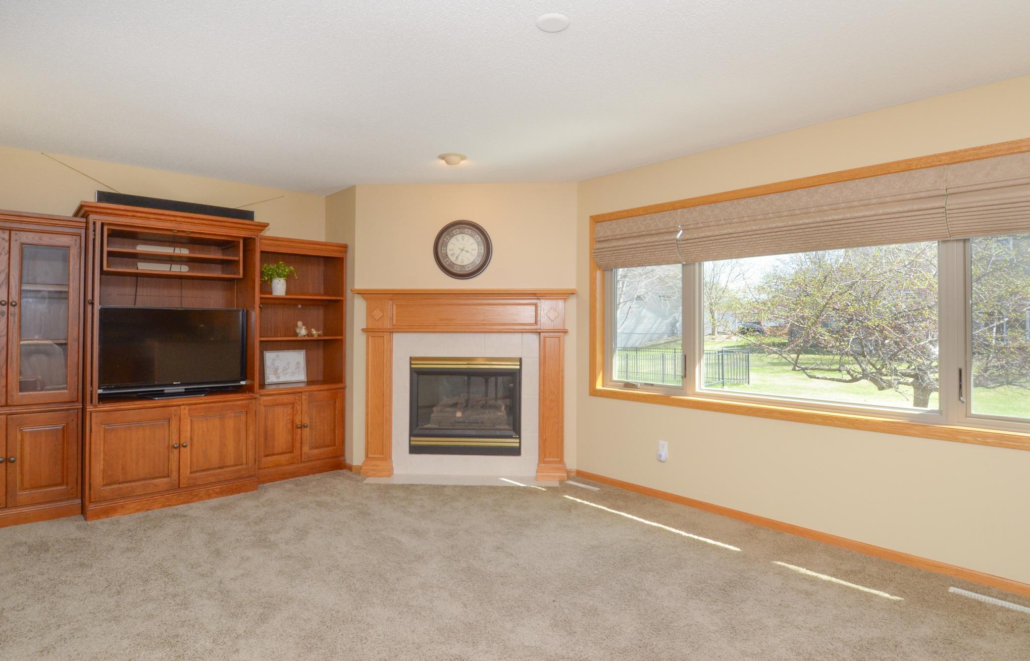 10013 Hidden Oaks Lane, Champlin, Minnesota image 7