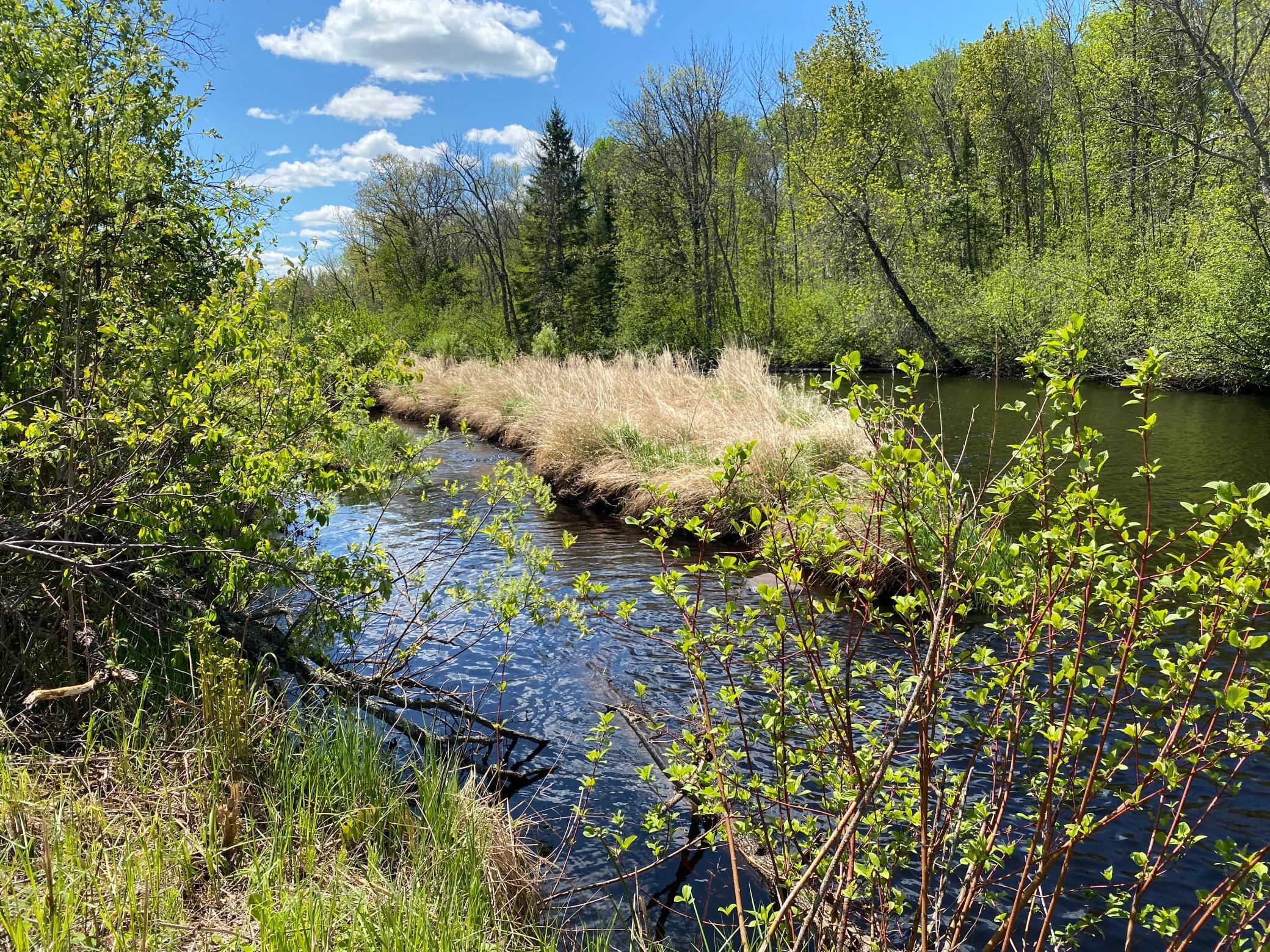 XXXX Minkkinen Rd, Kettle River, Minnesota image 3