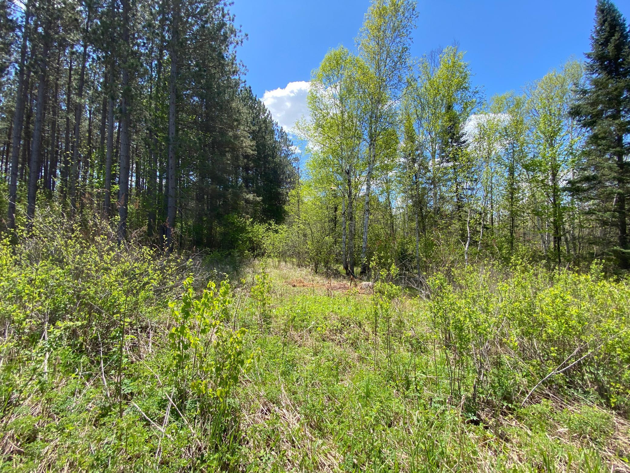 XXXX Minkkinen Rd, Kettle River, Minnesota image 38