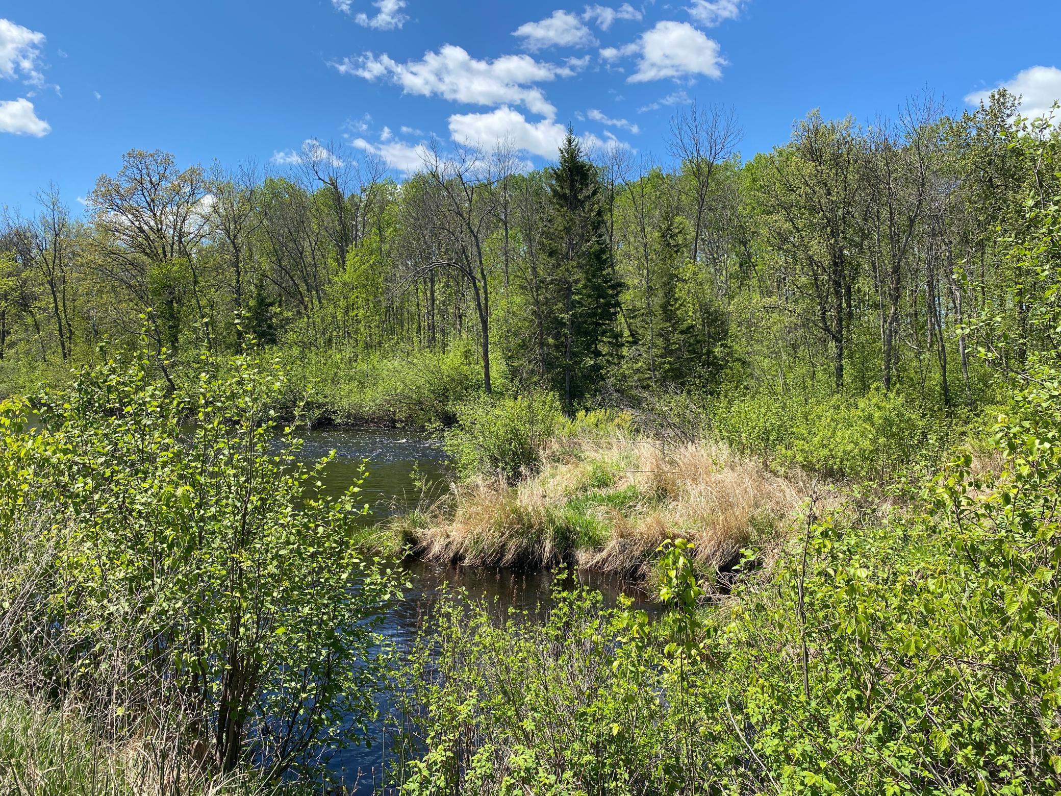 XXXX Minkkinen Rd, Kettle River, Minnesota image 27